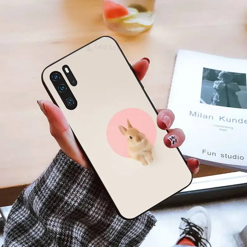 

Cute rabbit Phone Case For Huawei honor Mate mate P 10 9X 10i 20 30 40 y7 pro p smart 2019 lite