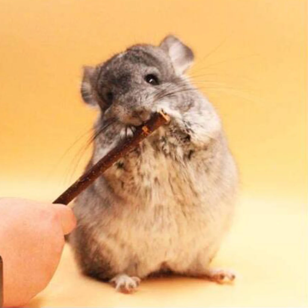 Натуральное дерево жевать палочки для некрупных домашних животных хомяк