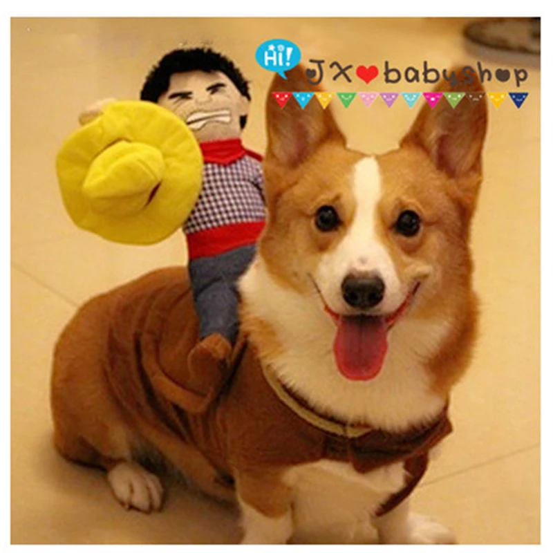 Ковбойский рыцарь одежда для собак шапка домашних животных французского