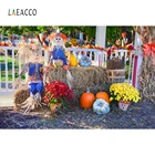 Laeacco осенний фон для фотосъемки с изображением тыквы, тыквы, парапета, цветов, фон для фотосъемки, детский портрет на день рождения, Фотофон