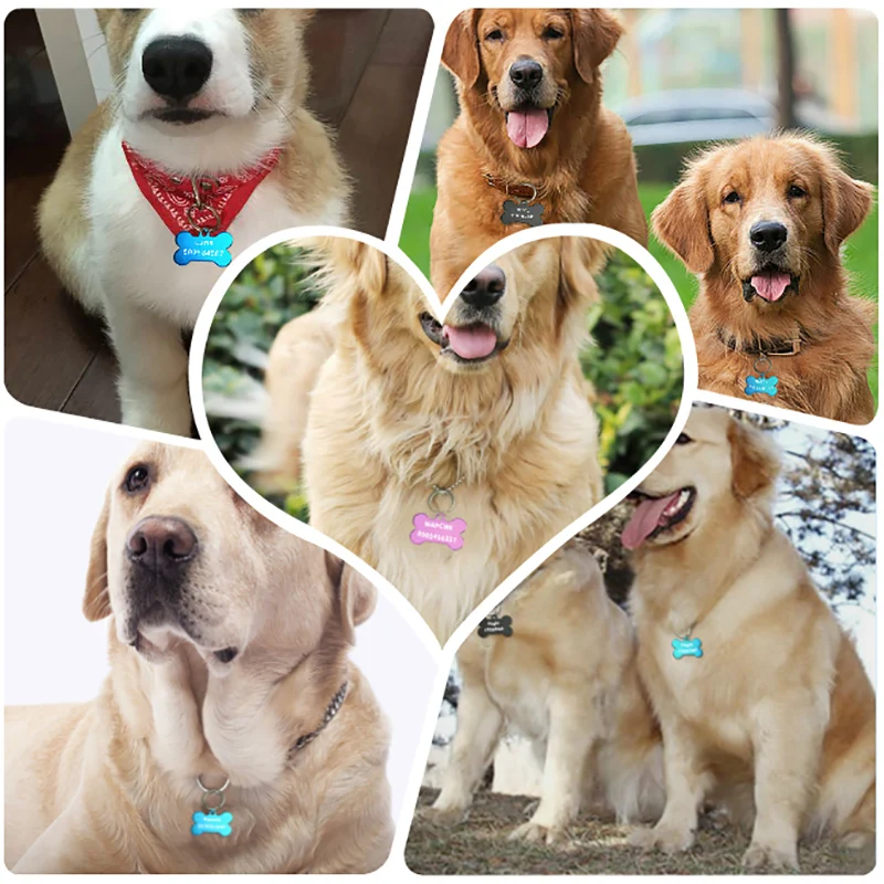 1 pcs Personalized Engraving Anti-lost Dog ID Tag Identification Customized Pet Name Puppy Collar Cat Bone Tags Supplies | Дом и сад