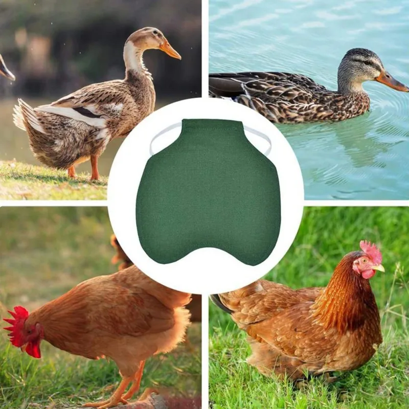 Новый курица фартук поводок-рулетка для питомца одежда птицы Курица седло