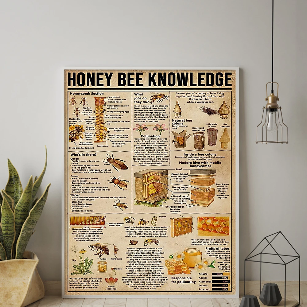 

Honey Bee Knowledge Vertical Poster Bee Lover Gift Bee Collection Poster Vintage Wall Art Canvas Painting Bee Diagram Wall Decor