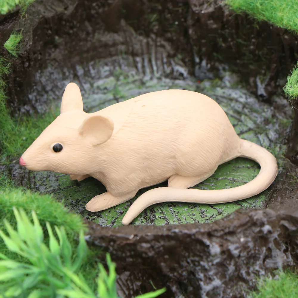 

2pcs Simulation Wild Animal Model Children's Educational Toys Ornaments Static Children's Toys (and Op