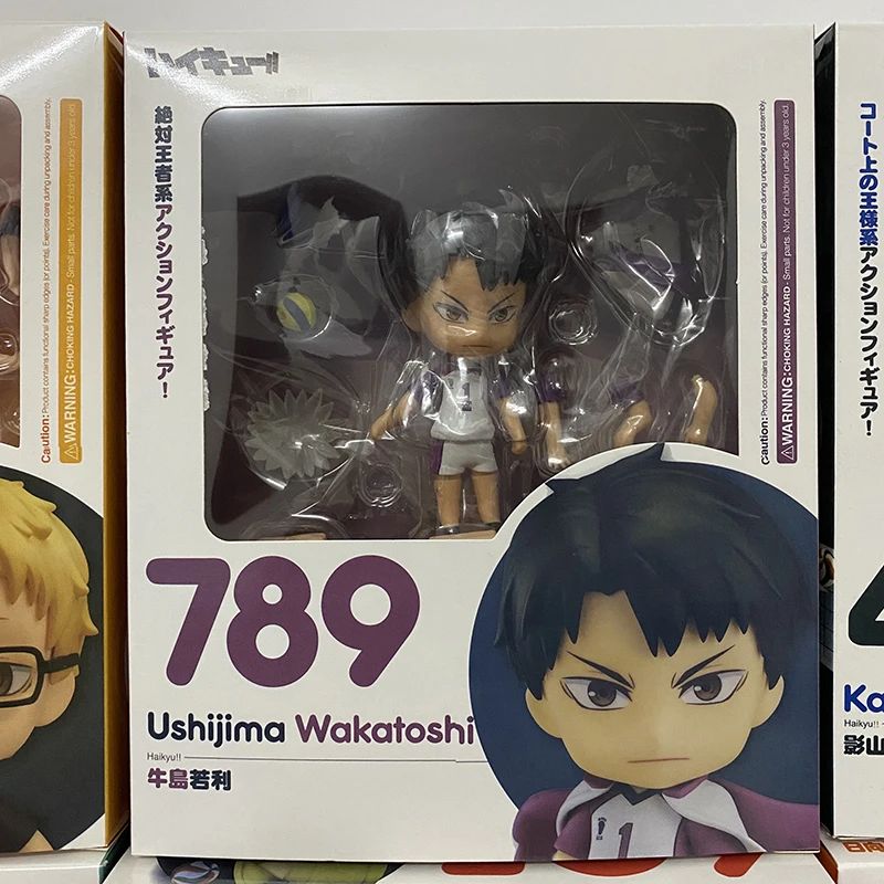 

Haikyuu Figure Anime Hinata Shoyo Kageyama Tobio Toy Oikawa Toru Kozume Kenma Ushijima Wakatoshi Tsukishima Kei Figure Toy Doll