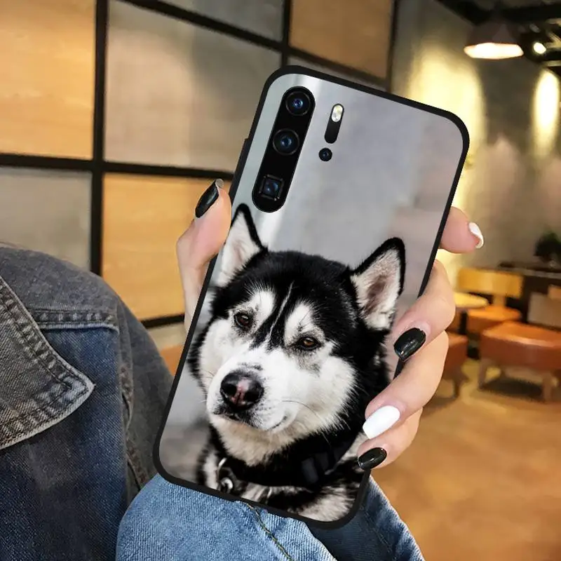 

Animal Husky cute Puppy Dog Phone Case Funda For Huawei P9 P10 P20 P30 Lite 2016 2017 2019 plus pro P smart