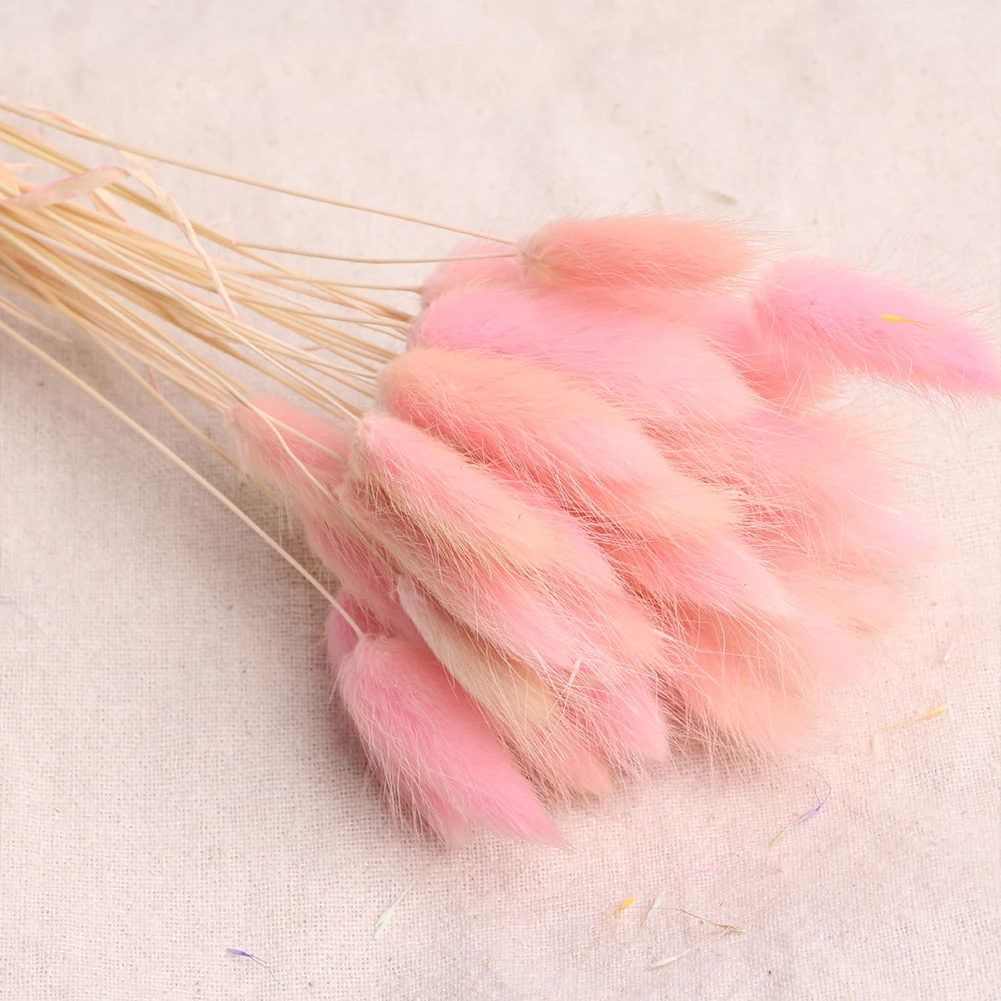 30pcs Rabbit Tail Grass Bouquet Eco Friendly Wedding Dried Flower Florist Photo Props Lagurus Ovatus Natural Gift Home Decor