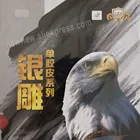 Накладка для настольного тенниса (пинг-понга), 2 шт. RITC 729, 755, Длинные шипы (Topsheet, OX)