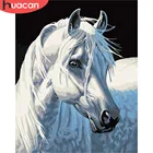 HUACAN краска ing по номерам лошадь животные наборы картины Рисование холст ручная краска ed DIY масляная краска украшение дома подарок