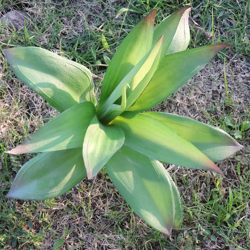 

2pcs Artificial Agave Succulent Fake Foliage Evergreen Plant Tree Christmas Home Decor Green AT086