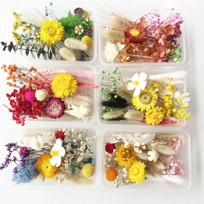 

1Box Mixed Real Dried Flowers Dry Plants Pressed DIY Epoxy Resin Jewelry Making Pendant Necklace Crafts Accessories
