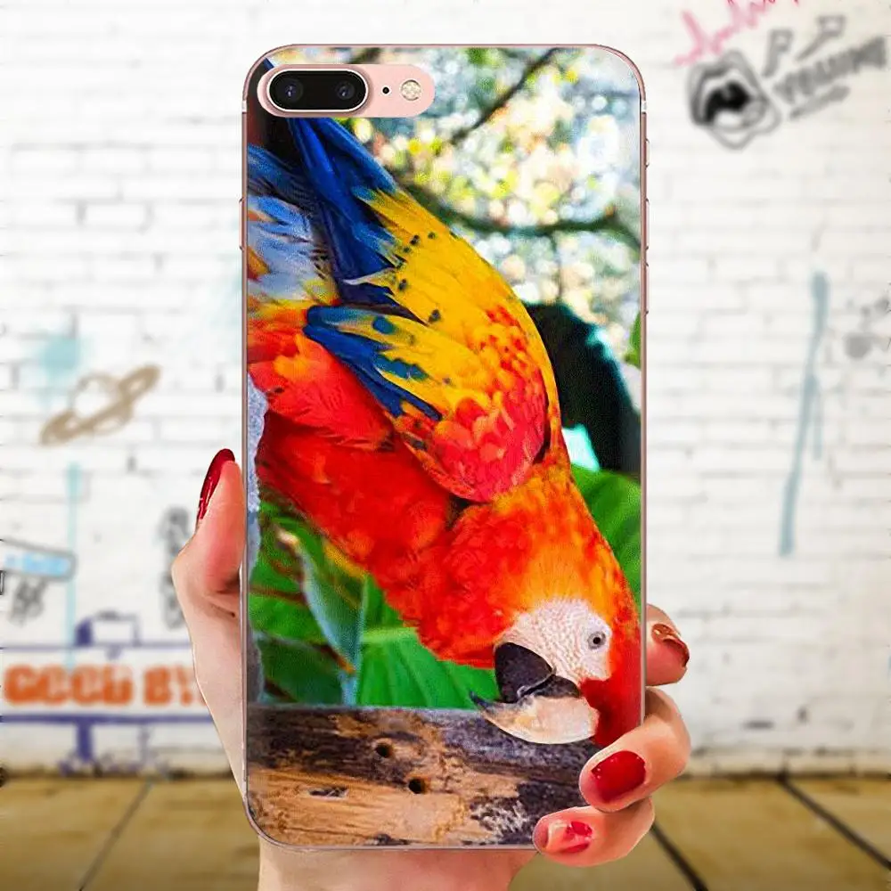 Говорящая птица милые аксессуары для телефона чехол Xiaomi Redmi Note 8 8A 8T 10 K30