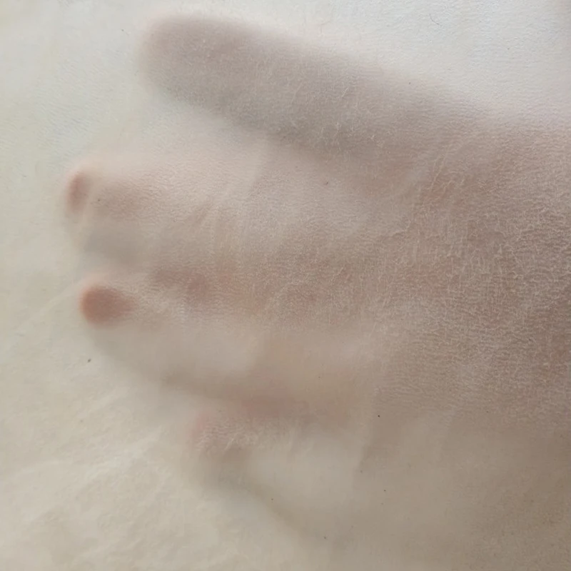 Прозрачная козья барабанная кожа|Детали и аксессуары| |