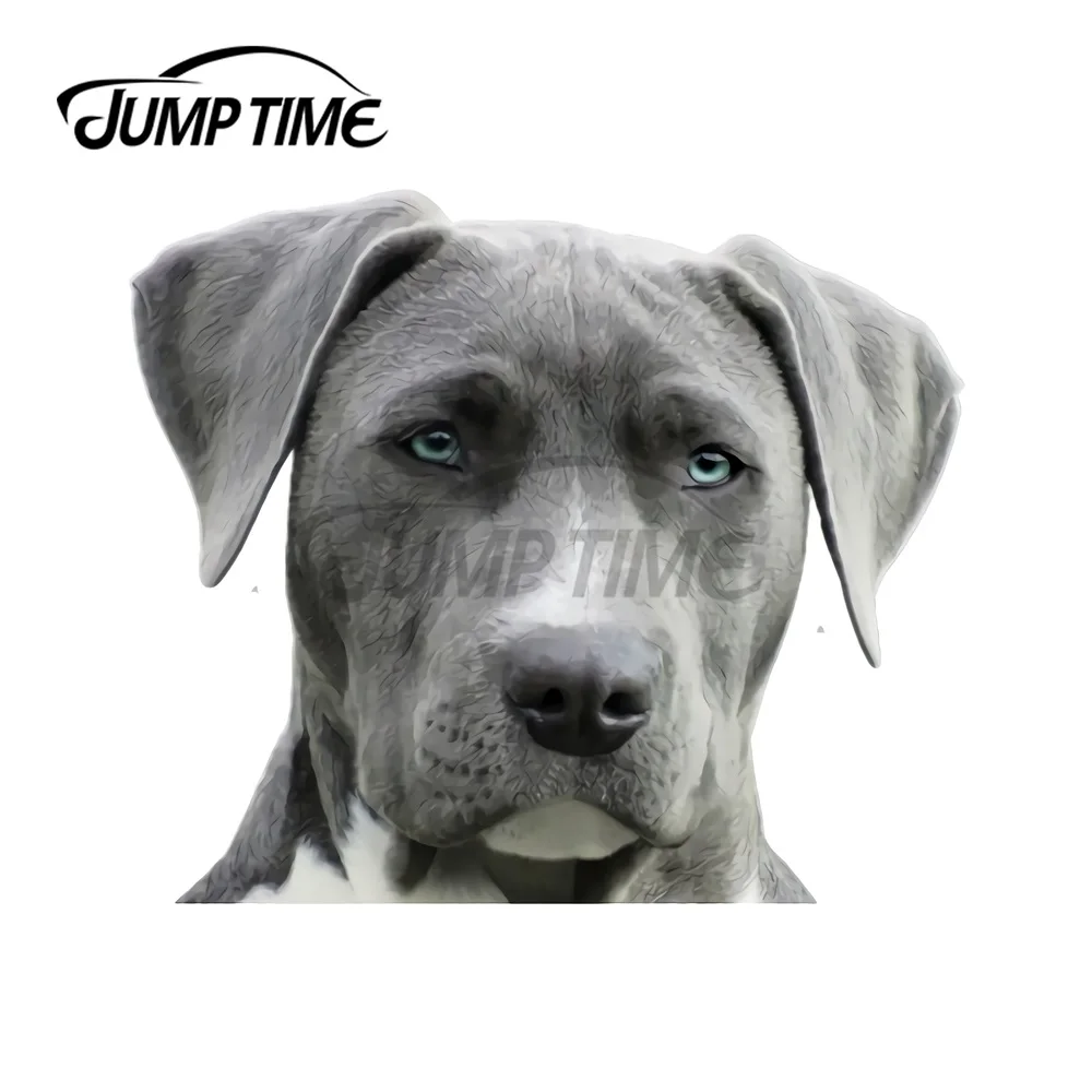 

Шлем мотоциклетный JumpTime для собаки ротвейлера, 13x10,2 см