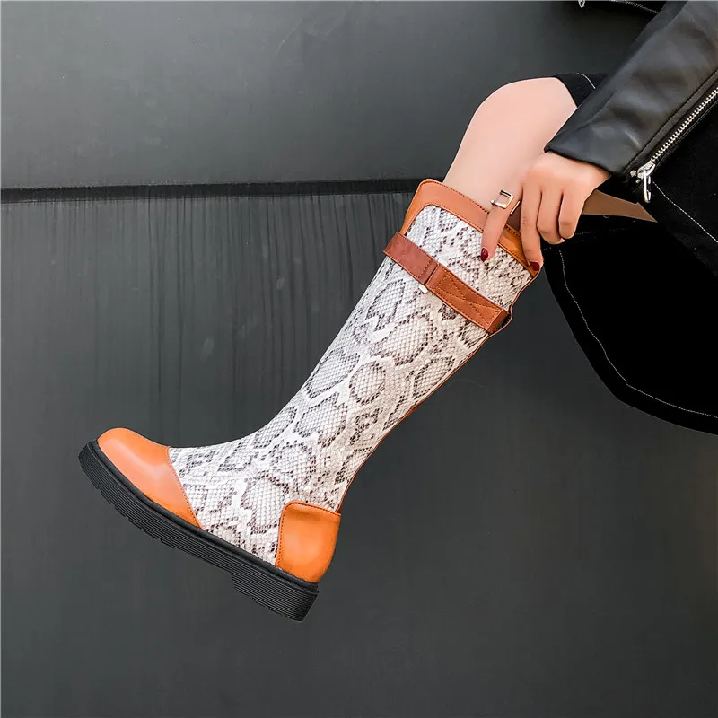 Женские сапоги со змеиным принтом MORAZORA черные до колена на низком каблуке с