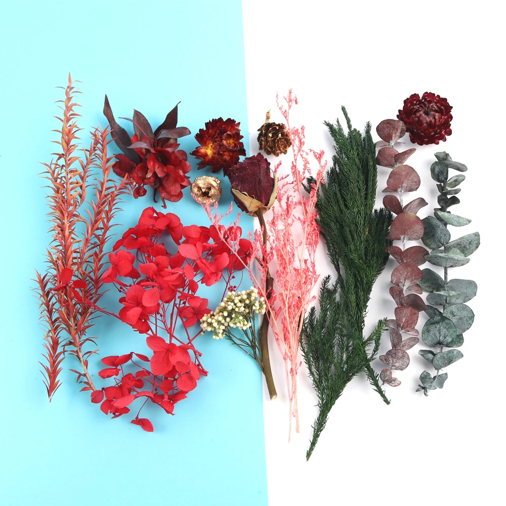Настоящие сушеные цветы сухие растения неувядающий цветок материал для ручной