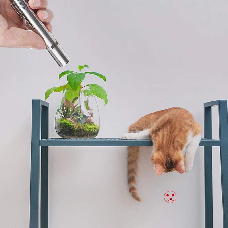 Funny Pet LED Laser Toy Cat Pointer Light Pen Interactive With Bright Animation Mouse Shadow USB Accessories | Дом и сад