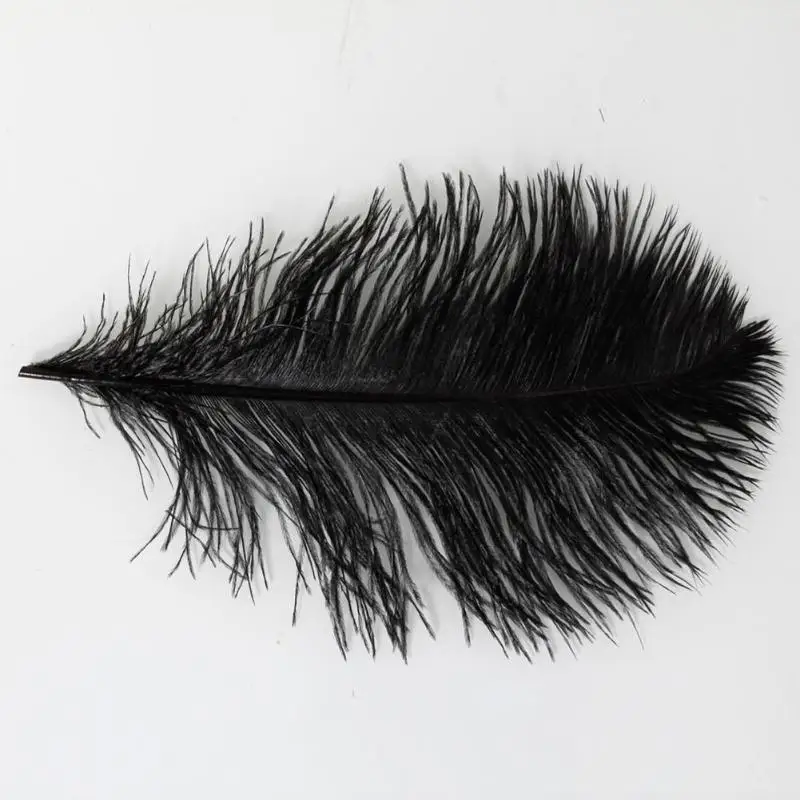 Черные 10 шт страусиные перья для DIY ремесла платье дом вечерние украшения|Перо| |