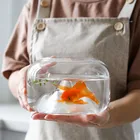 Прозрачный стеклянный аквариум Snow Mountain, миниатюрная миска для рыбы, для золотой рыбы, для румян, рыбы, домашний декор для гостиной, День святого Валентина