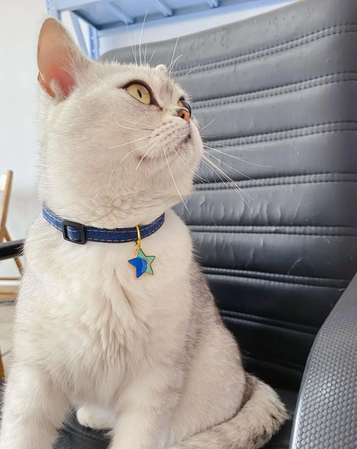 Ошейник для кошек и собак ковбойская пятиконечная звезда подвеска красивая