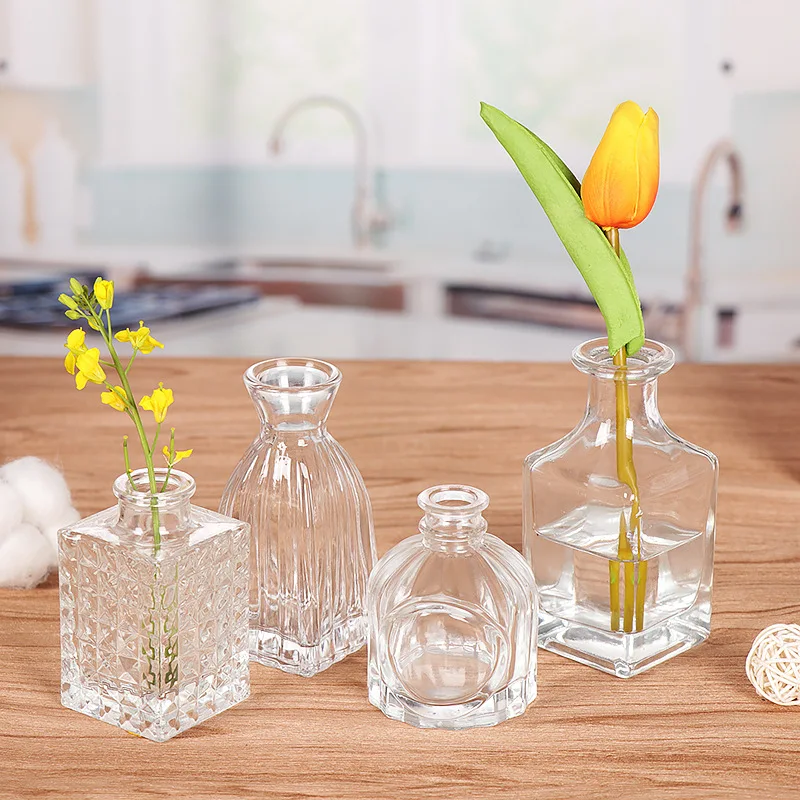 

1Pcs Simple Hydroponic Terrarium Small Vase Living Room Flower Home Vases Aromatherapy Bottle Transparent Glass Decoration