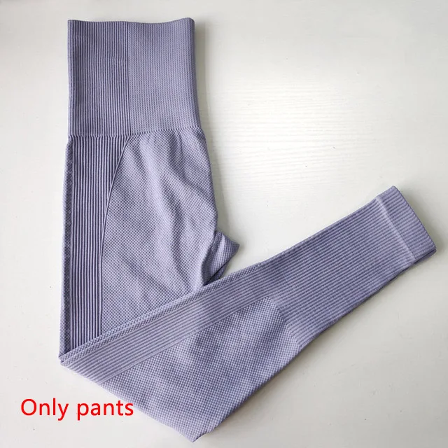 Gray blue pants Комплект из 2 предметов, бесшовный комплект для йоги, женская одежда для спортзала фитнеса, леггинсы с высокой талией, спортивный бюстгальтер, спортивная одежда для бега - Цвет: Gray blue pants