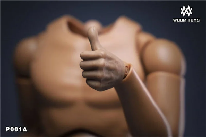 

Best Sell P001 1/6th Toys Model Special Hand Types For Mostly 12inch Doll Soldier Action Accessories