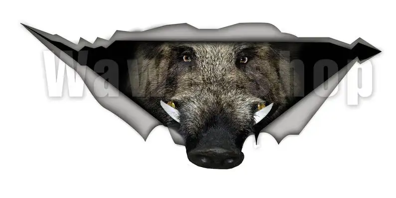 

2021 Wild Boar car Decal, funny car decal , animal Decal, Vinyl Decal