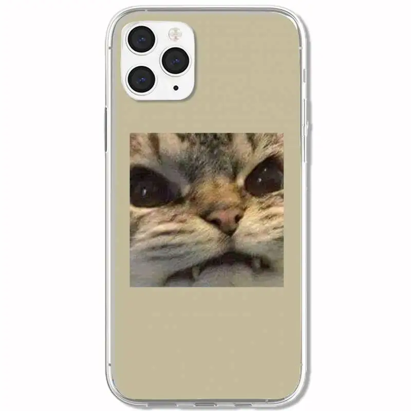 

Lovely Cat Brow Looks Phone Case For Clear&P Iphone 5s Se 6 6s 7 8 11 12 X Xs Pro Plus Mini Max Fundas Cover