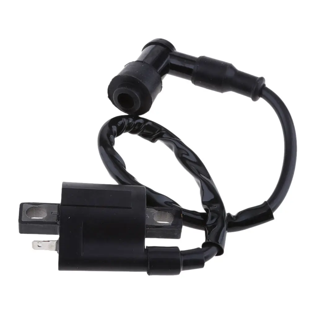 

Черная катушка зажигания с CDI для Suzuki Quadmaster 50 2002-2005