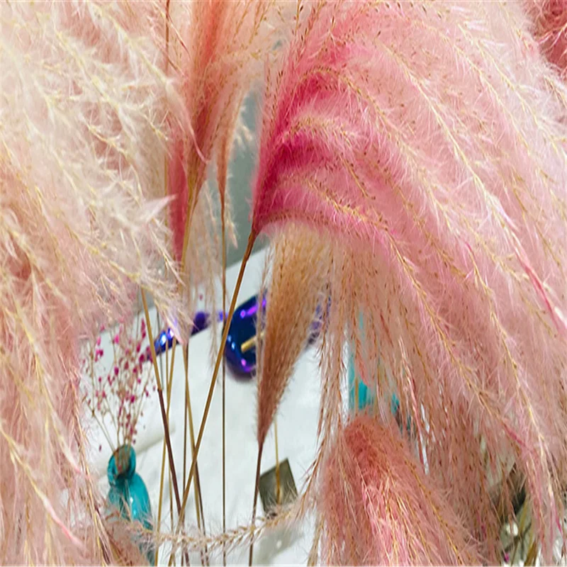 

2021 Hot Selling Event Decorations Wedding Decorative Plants Dried Flowers Bouquet Natural Real Preserved Horse Tail Grass