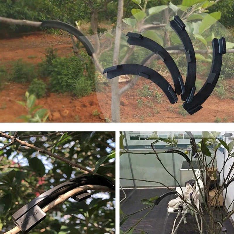 

Newly Fruit Tree Branch Bender Garden Tool Tree Branch Shaping Fixing Device Plant Modulator Adjuster Bonsai Tools S66