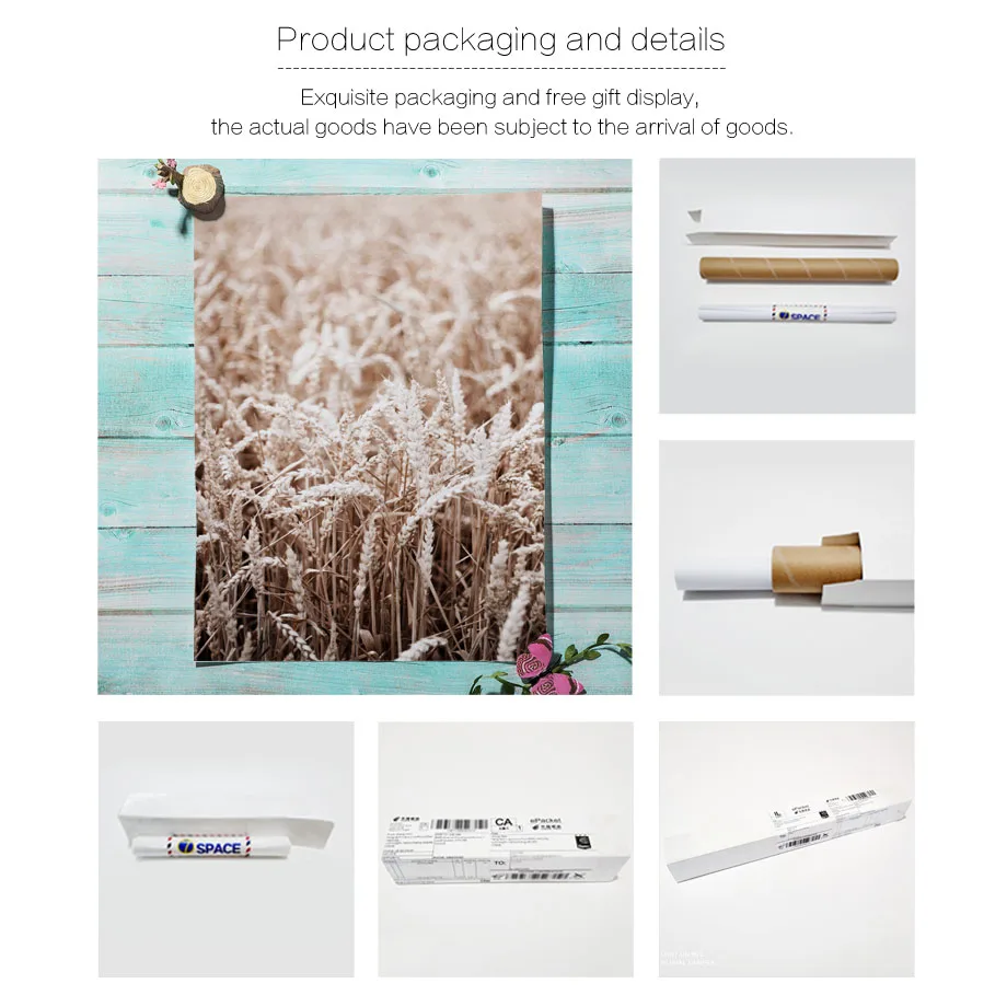 Reed Wheat Plant Bird Autumn Quote Nordic Posters And Prints Wall Art Canvas Painting Pictures For Living Room Home Decor | Дом и сад