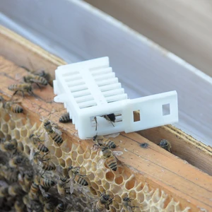 2 шт. клетка для пчелы, королевская клетка, инструменты для пчел, оборудование для защиты от побега, пластиковые ячейки для пчеловодства, поставщик пчеловодства