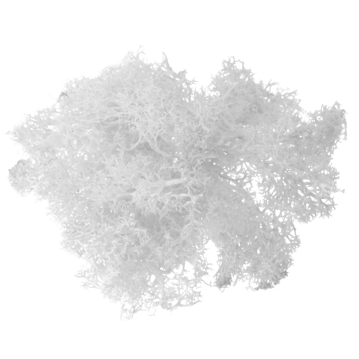 White 1 шт 10 г красочные искусственные мхи поддельные растения консервированные сушеные искусственные ремесленные цветы для домашнего сада Вечерние - Цвет: White