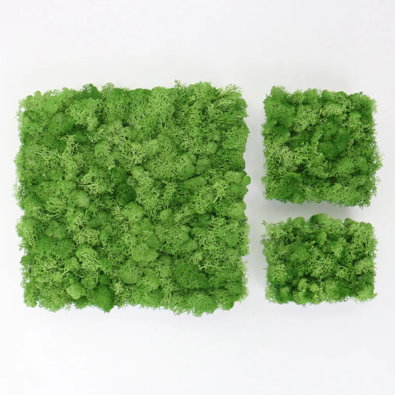 Искусственные зеленые растения вечный цветок Искусственный мох трава украшение