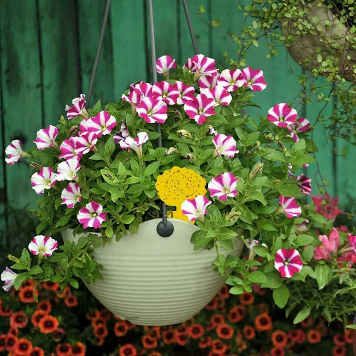 Ловушка для насекомых 40 шт. | Дом и сад