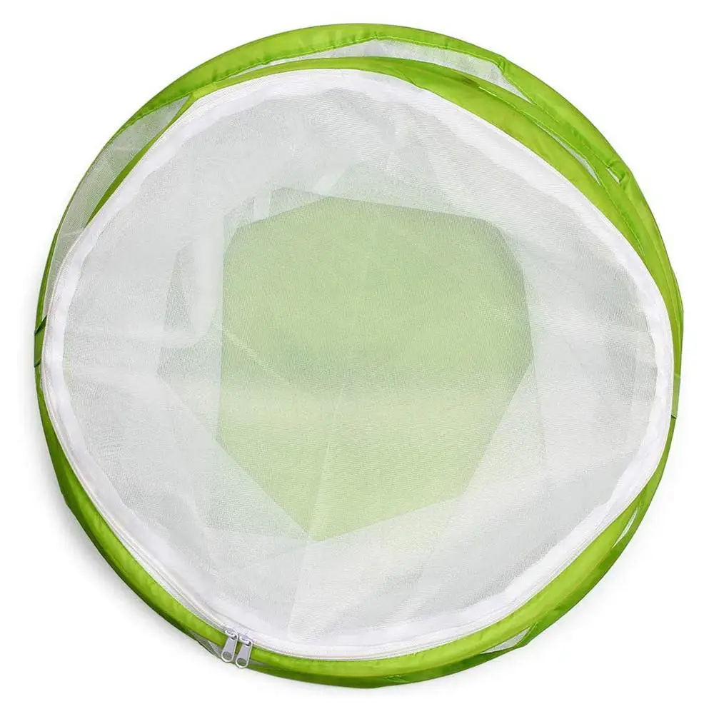 Большая сетчатая панель в виде насекомых и бабочек | Дом сад