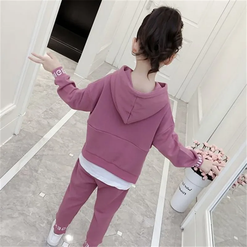 Осенний костюм для девочек свитшот с капюшоном и штаны комплект детской одежды