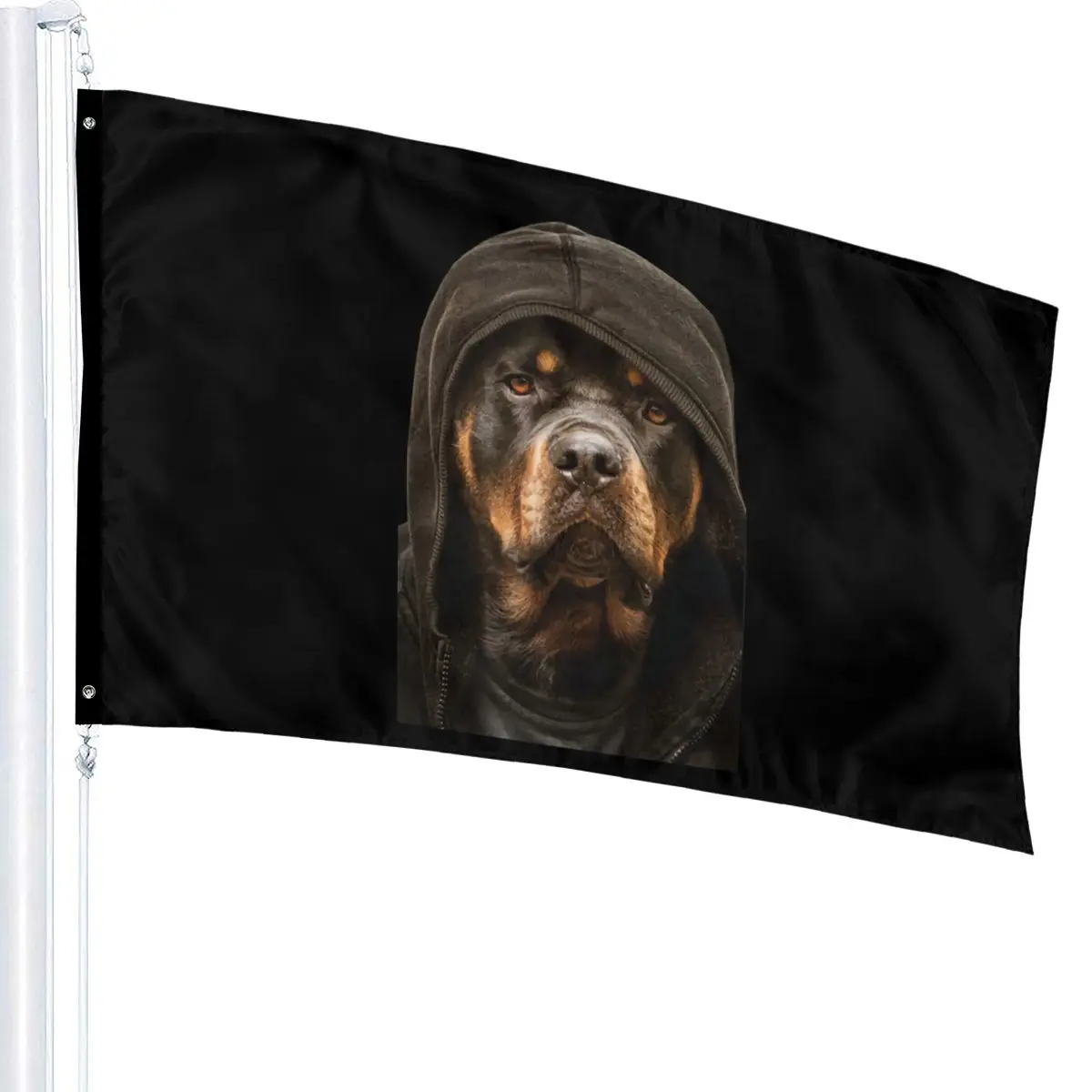 Ротвейлер Собака популярная Беговая скидка фильм чистый хорошее качество