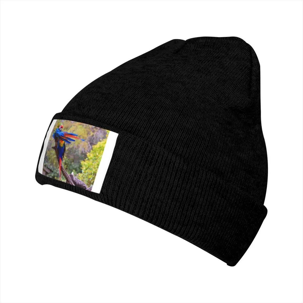 

Parrot A winter Men Ms hat Both men and women bike caps frost caps