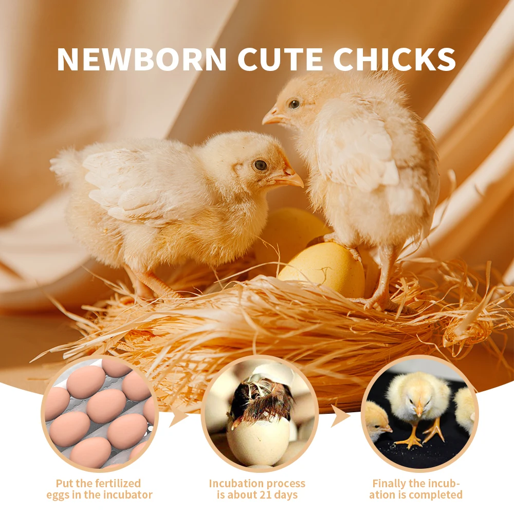 Инкубатор для яиц полностью автоматический домашний инкубатор кур и птиц 12