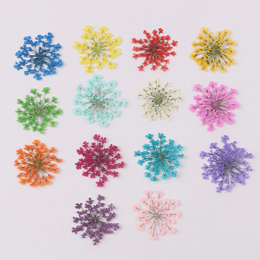 100Pcs Pressed Dried Ammi Majus Flower Epoxy Resin Nail Craft DIY Phone Decor | Красота и здоровье