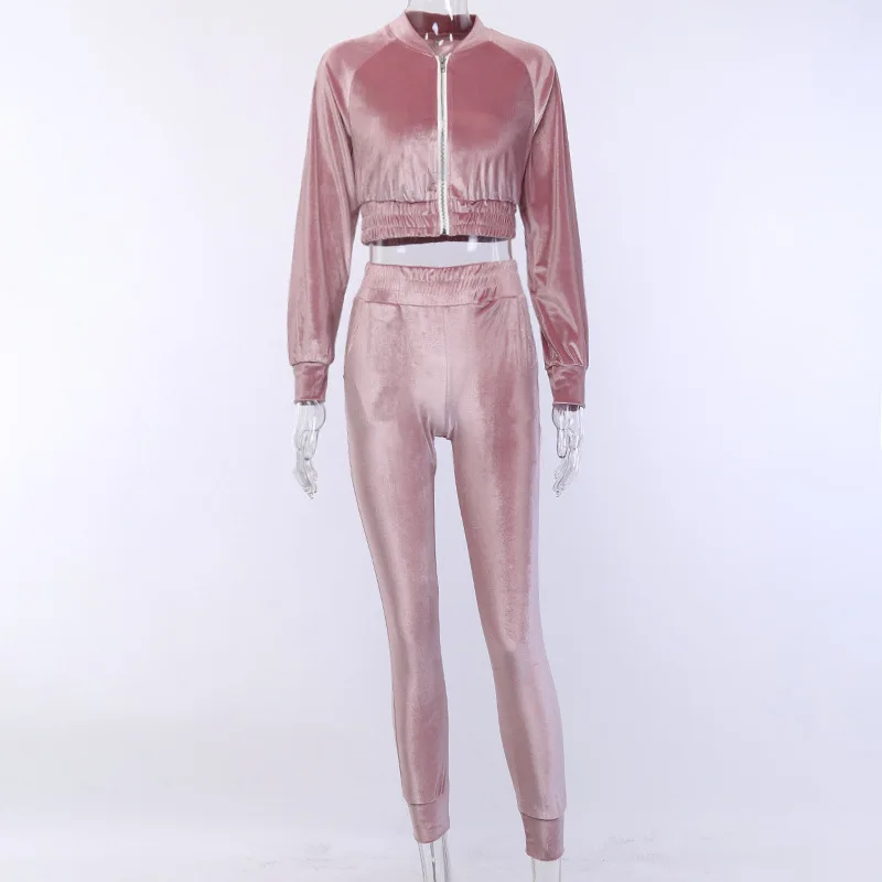 pink Бархатные спортивные костюмы MisDream, повседневные комплекты из двух предметов, укороченный топ с длинным рукавом, длинные штаны, комплекты из 2 предметов, женская одежда, велюровый спортивный костюм - Цвет: pink