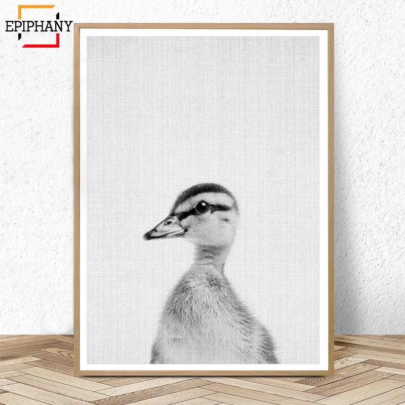 Детский плакат с изображением утки животных черно белых животных|Рисование и