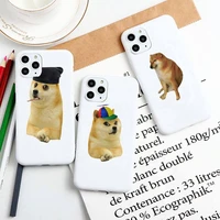 doge meme kabosu phone case phone case for iphone 13 12 11 pro max xr xs x soft candy cover for iphone 6 6s 7 8 plus cases