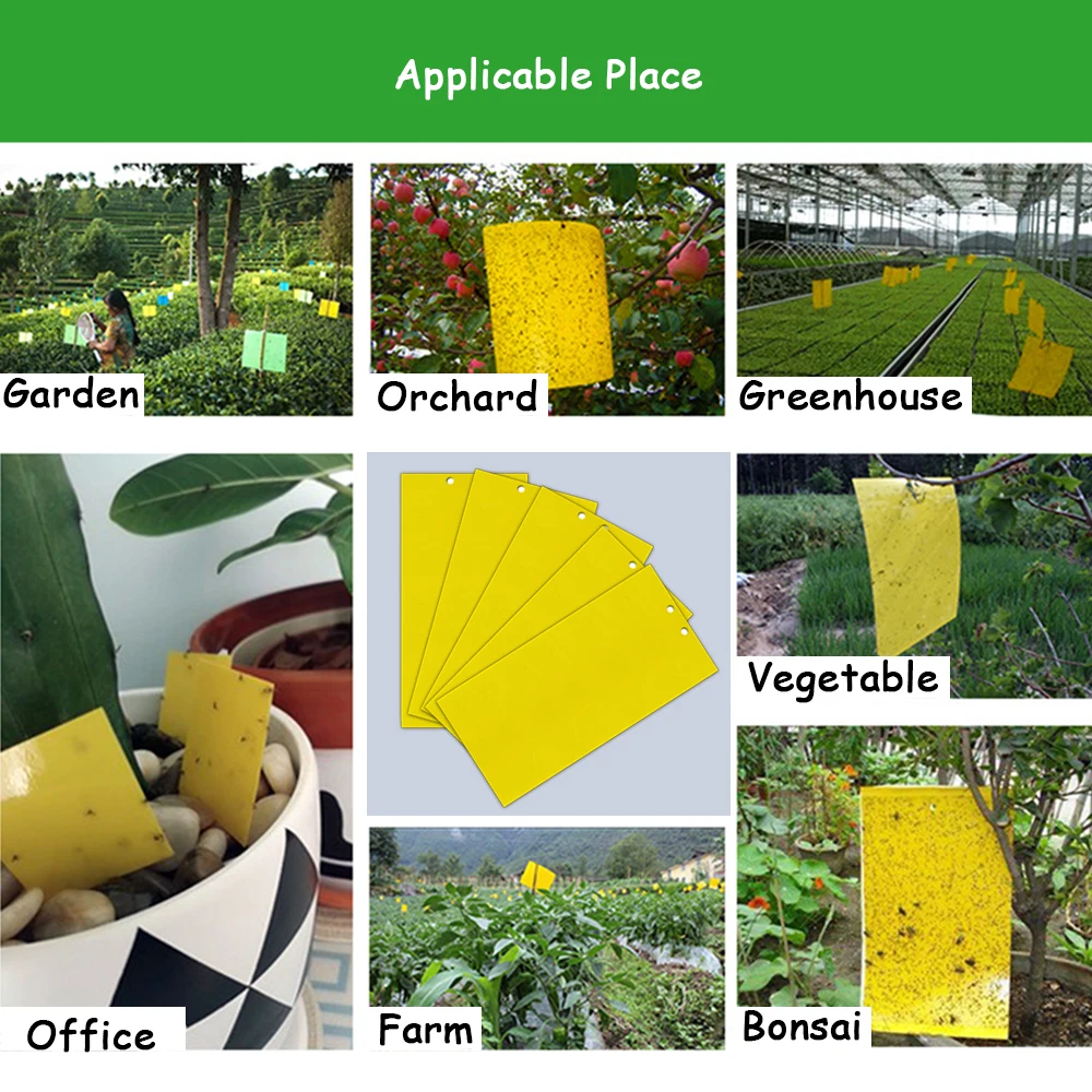 

5pcs Two Face Paste Insect Board Double-sided Bug Fly Stickers Glue Board Adhesive Traps Yellow Sticky Insect Catcher Flycatcher
