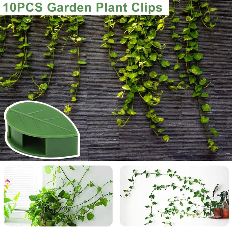 

10 Pieces of Plant Bracket Invisible Wall Rattan Clip Creative Plant Climbing Sticky Hook Self-adhesive Plant Fixing Bracket