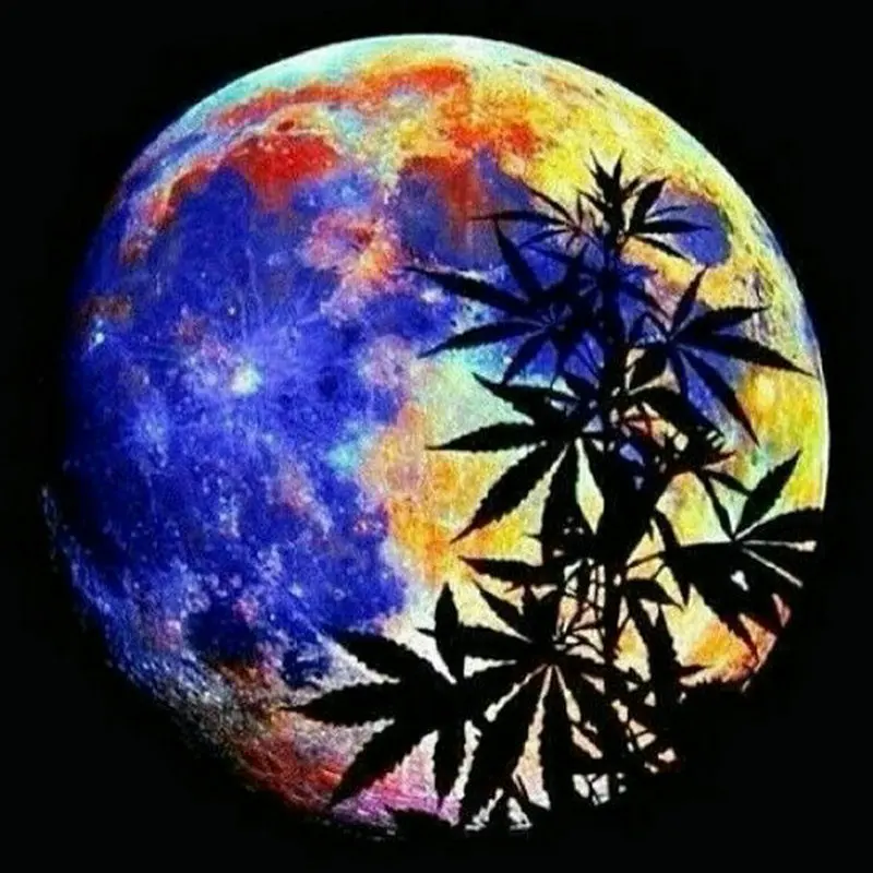 

Full Bamboo 5D DIY Round Square Landscape Moon Diamond Painting NEW AB Drill Resin Icon Handicraft Patch Embroidered
