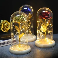 beauty and the beast rose kit led string lights with fallen petals in glass dome gold foil rose preserved flower enchanted rose